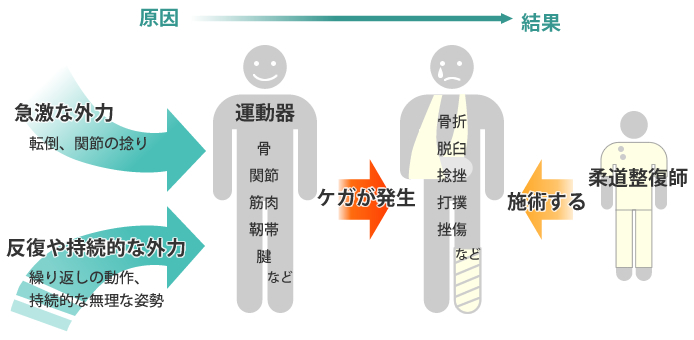 柔道整復師とは