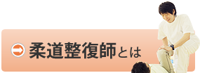 柔道整復師とは